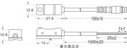 AN-21R